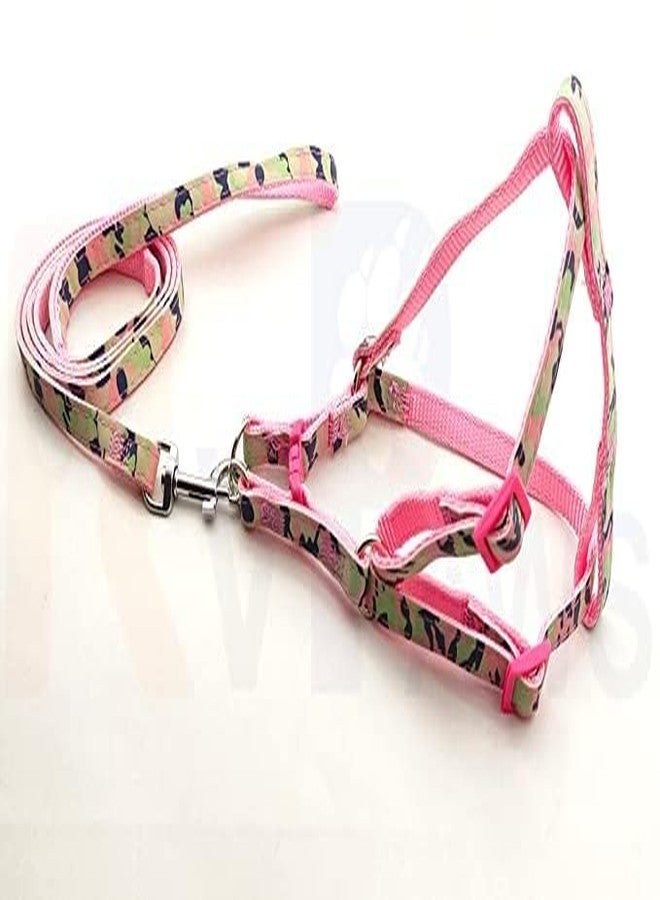 Pups&Pets 10MM Nylon Padded Adjustable Strip Pattern Printed Vest Harness and Long Handle Leash Ideal for Outdoor Walking/Training Dogs & Puppies (Pink) - Image 1